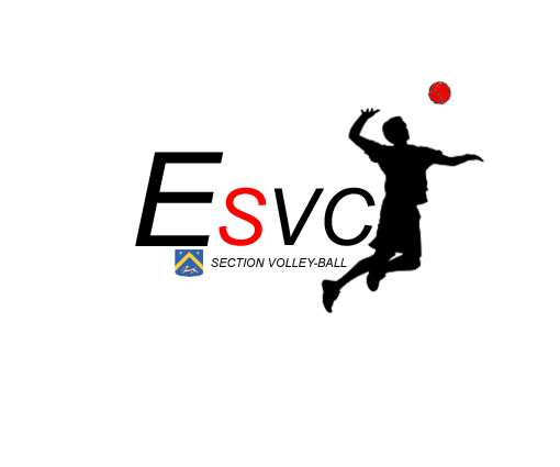 logo-esvc-volley