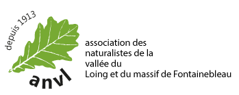 logo-anvl-bandeau